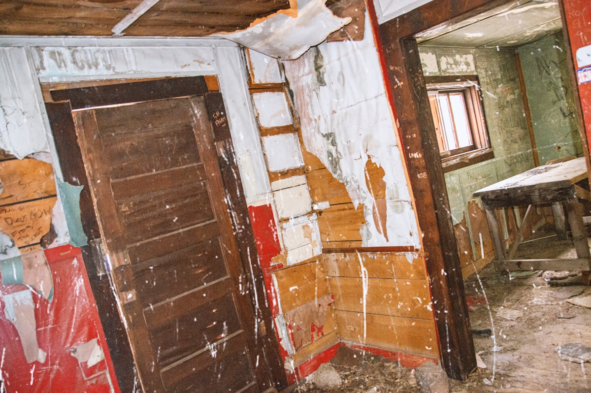 Mold Remediation service in Mobile, AL