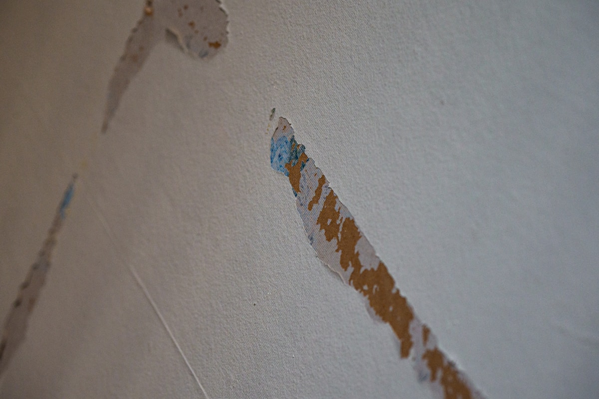 Mold Remediation service in Mobile, AL